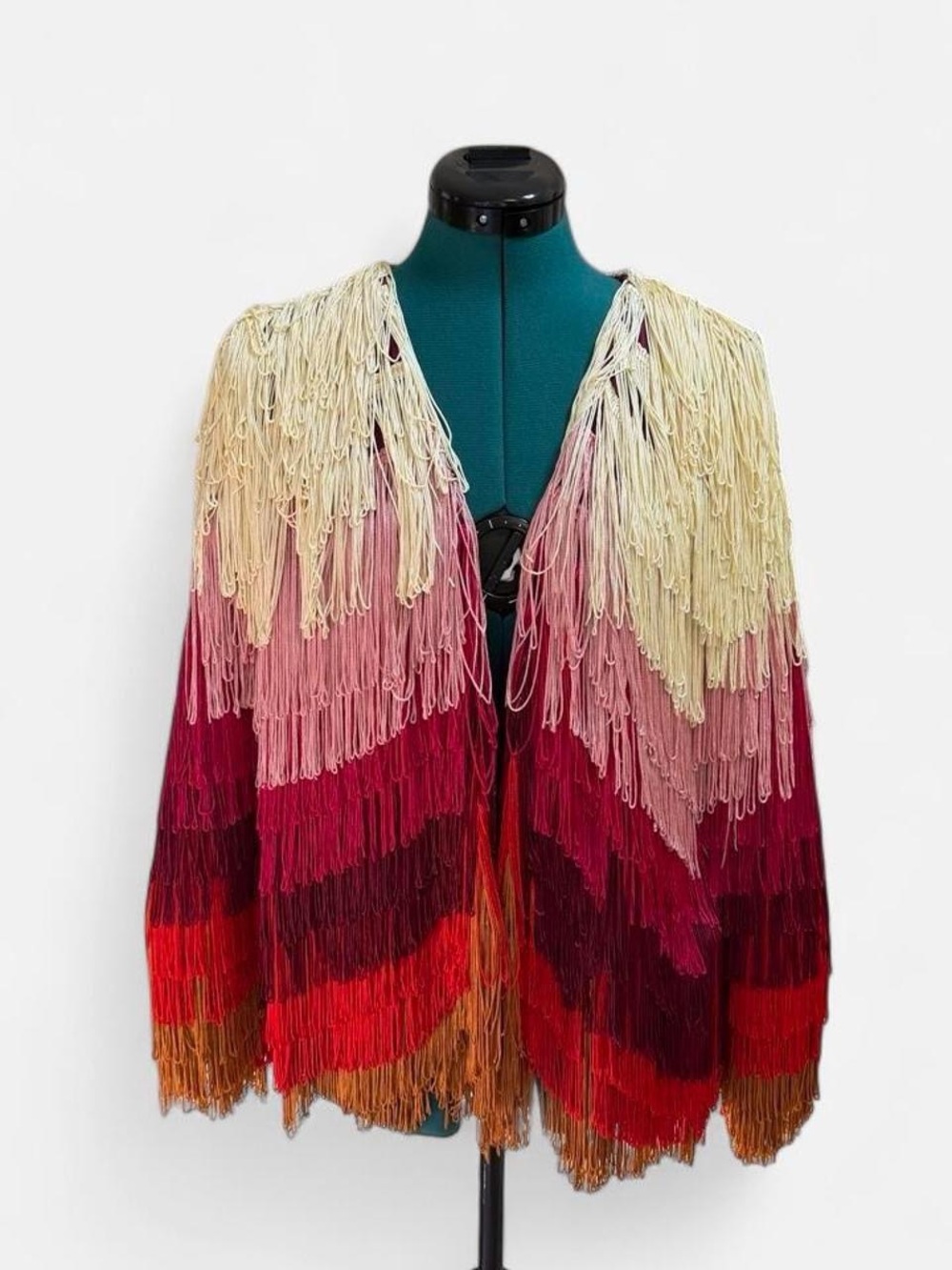 Vanessa Virgina Fringed Ombre Multi-Color Women’s Sweater Cardigan
